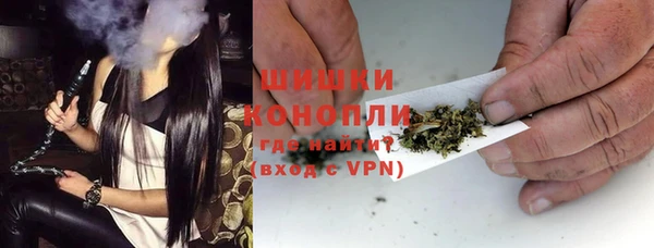 хмурый Лиски