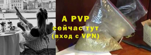 хмурый Лиски