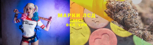 хмурый Лиски