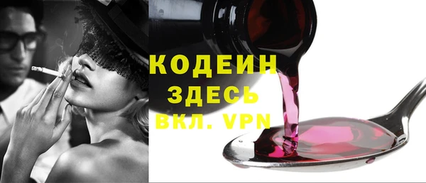 хмурый Лиски