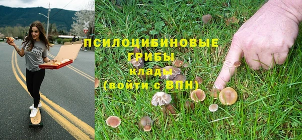 хмурый Лиски