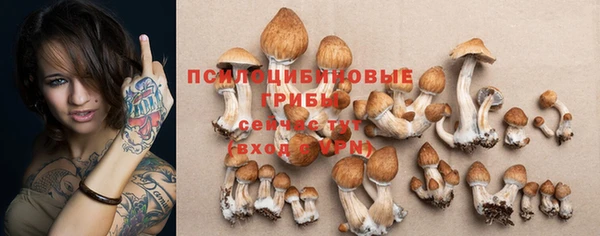 хмурый Лиски