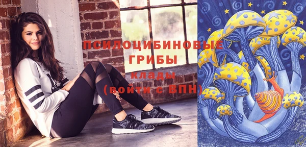 хмурый Лиски